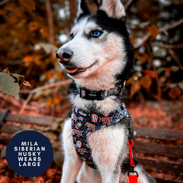 Adjustable Harness - Pupflix and Chill