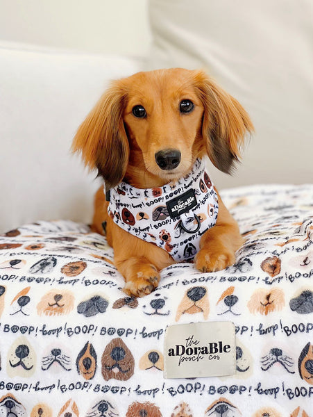 Super Soft Blanket - The aDoraBle Pooch Co x Boop My Nose - Boop!