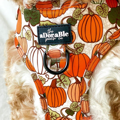 Adjustable Harness - Pumpkin Patch