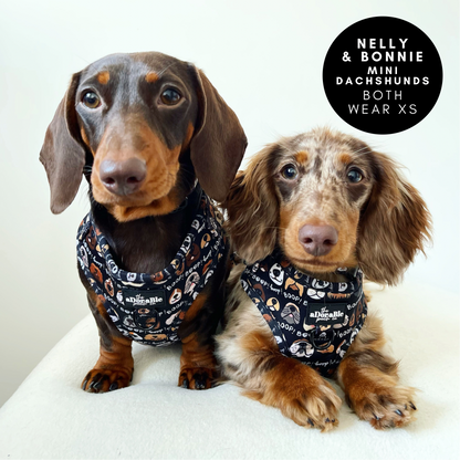 Adjustable Harness - The aDoraBle Pooch Co x Boop My Nose - Boop! - Black