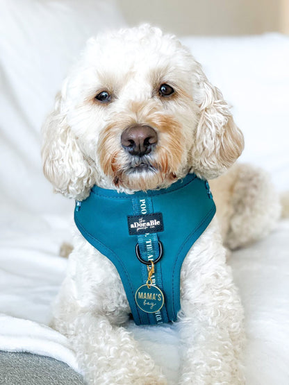 Adjustable Harness - Classic Collection - Deep Teal