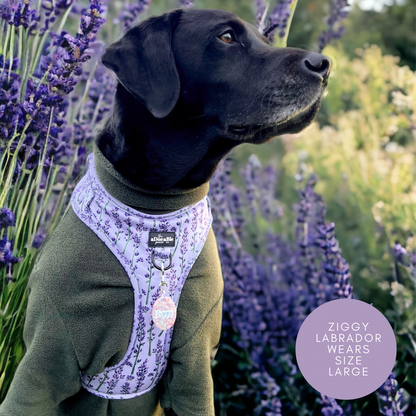 Adjustable Harness - Lavender Haze