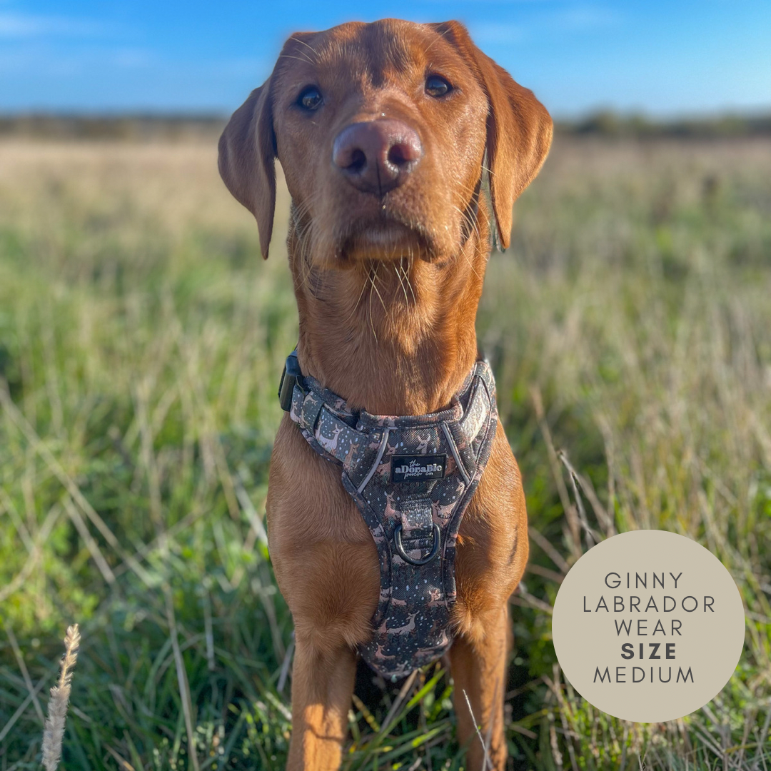 Hike & Go™ Harness - Nature Trails