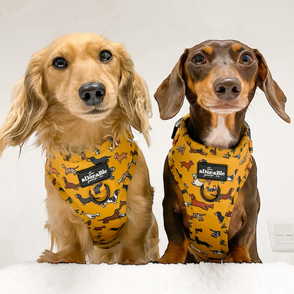 Adjustable Harness - Dashing Dachshunds