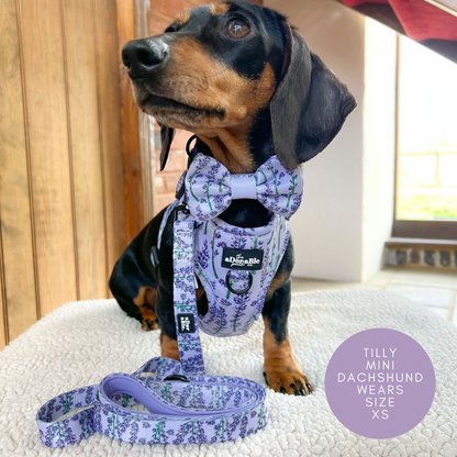 Adjustable Harness - Lavender Haze