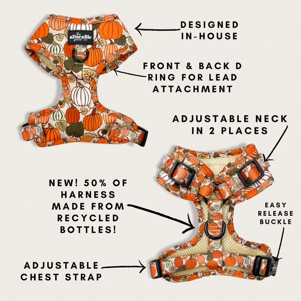 Adjustable Harness - Pumpkin Patch