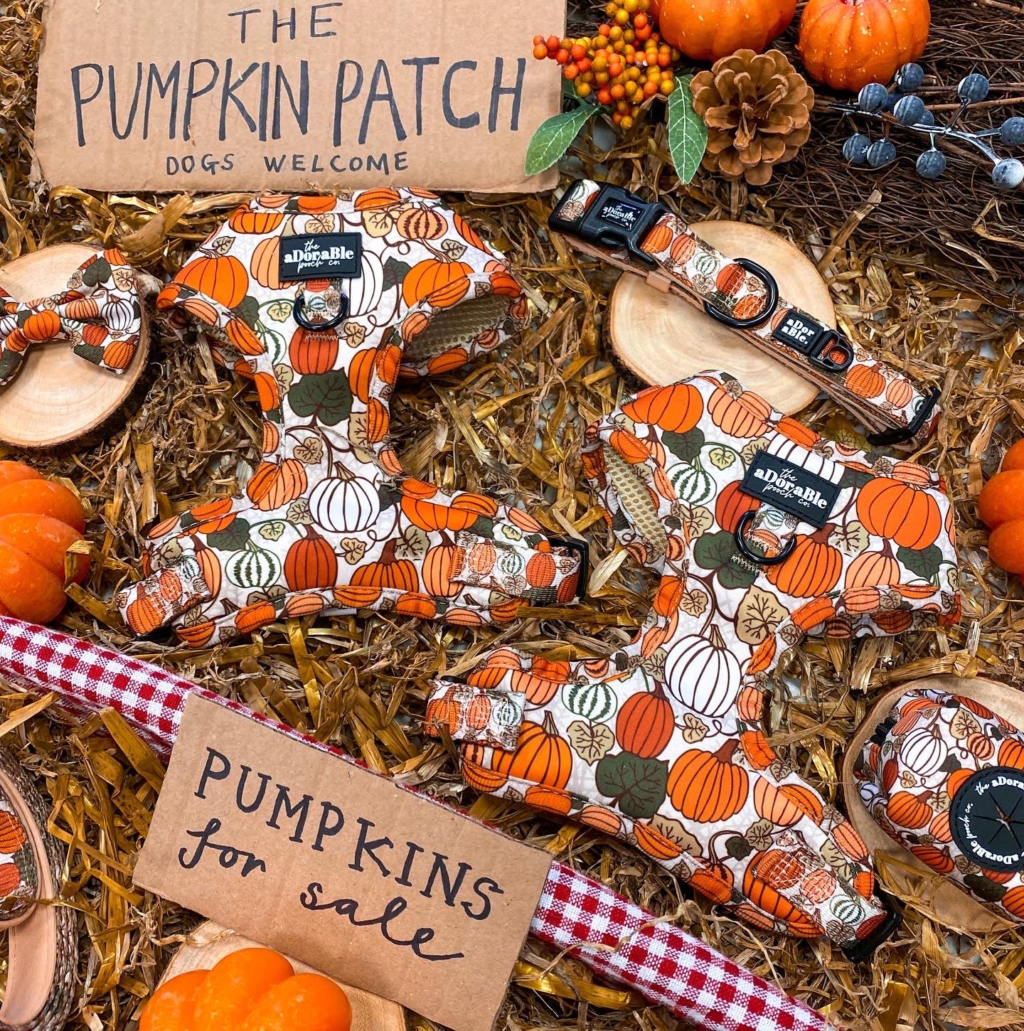 Adjustable Harness - Pumpkin Patch