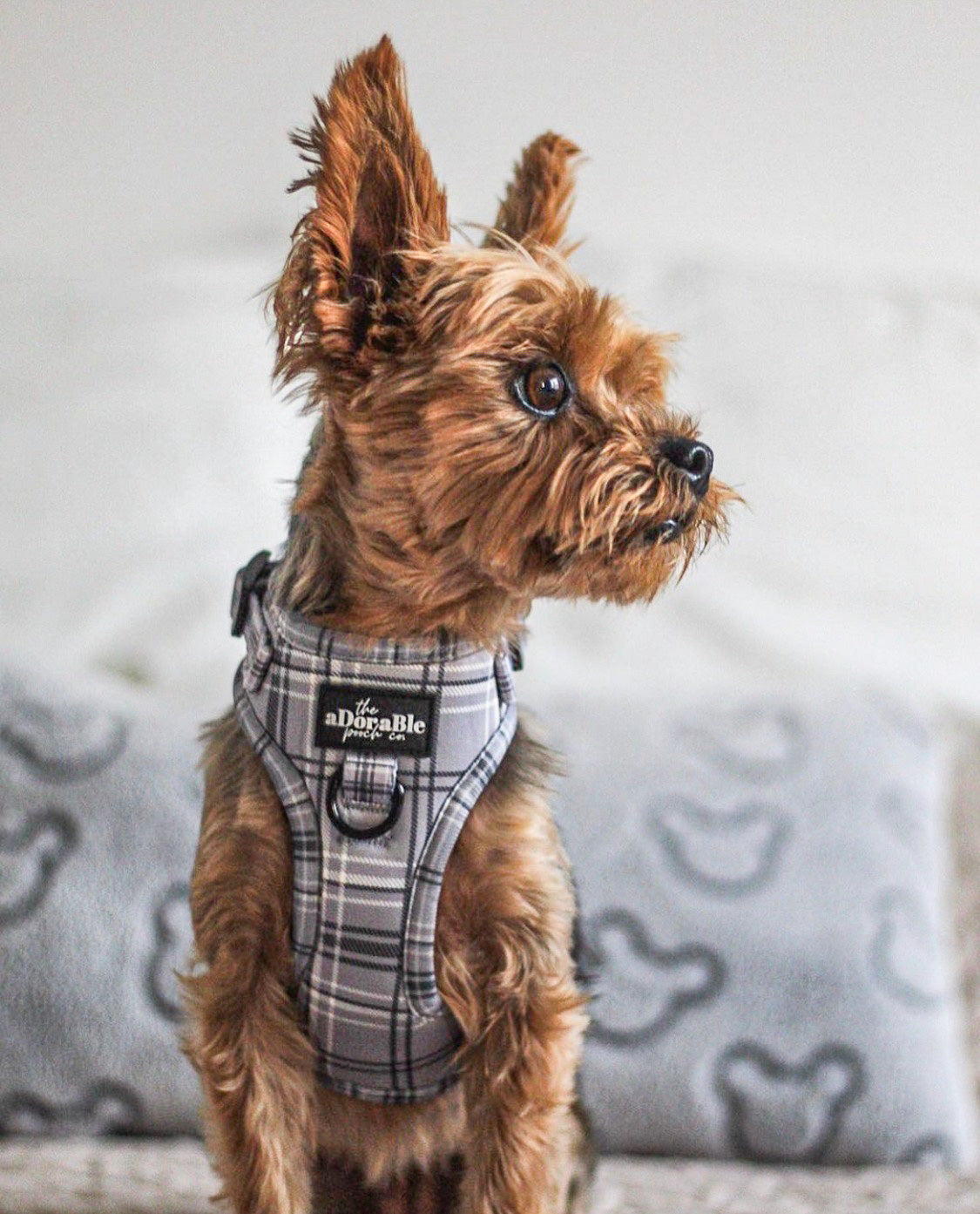 Adjustable Harness - LUXE Dove Grey Plaid