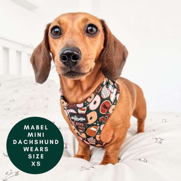Adjustable Harness - Pups & Doughnuts