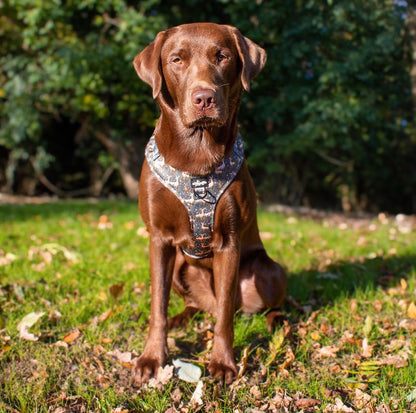 Adjustable Harness - Nature Trails