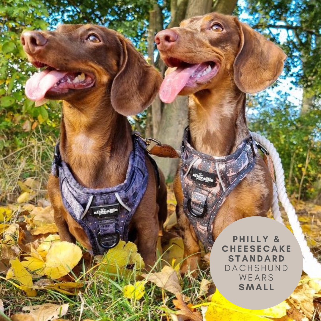 Hike & Go™ Harness - Nature Trails