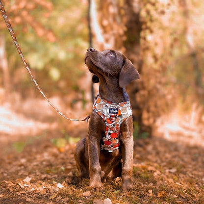 Adjustable Harness - Pumpkin Patch