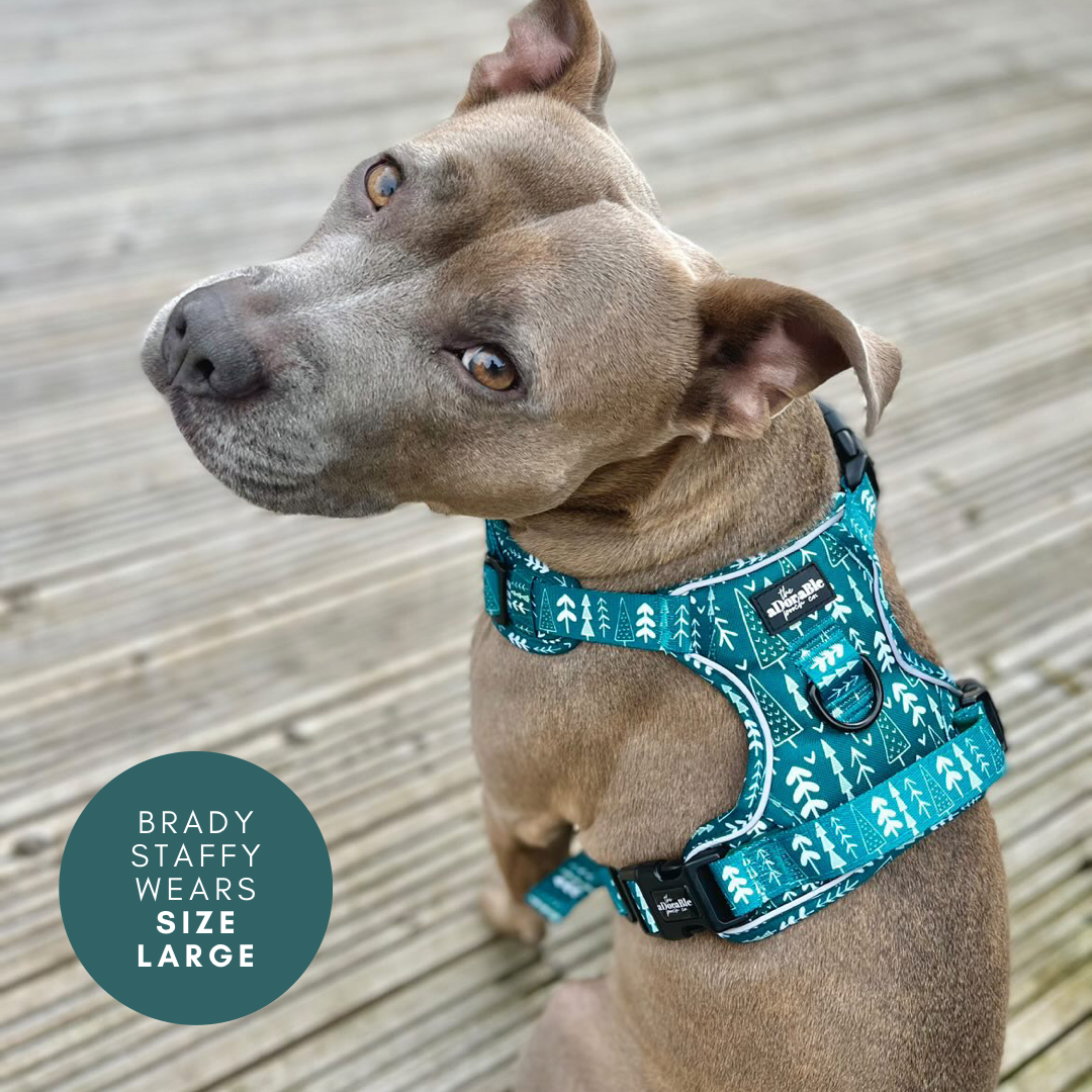 Hike & Go™ Harness - Woodland Walks