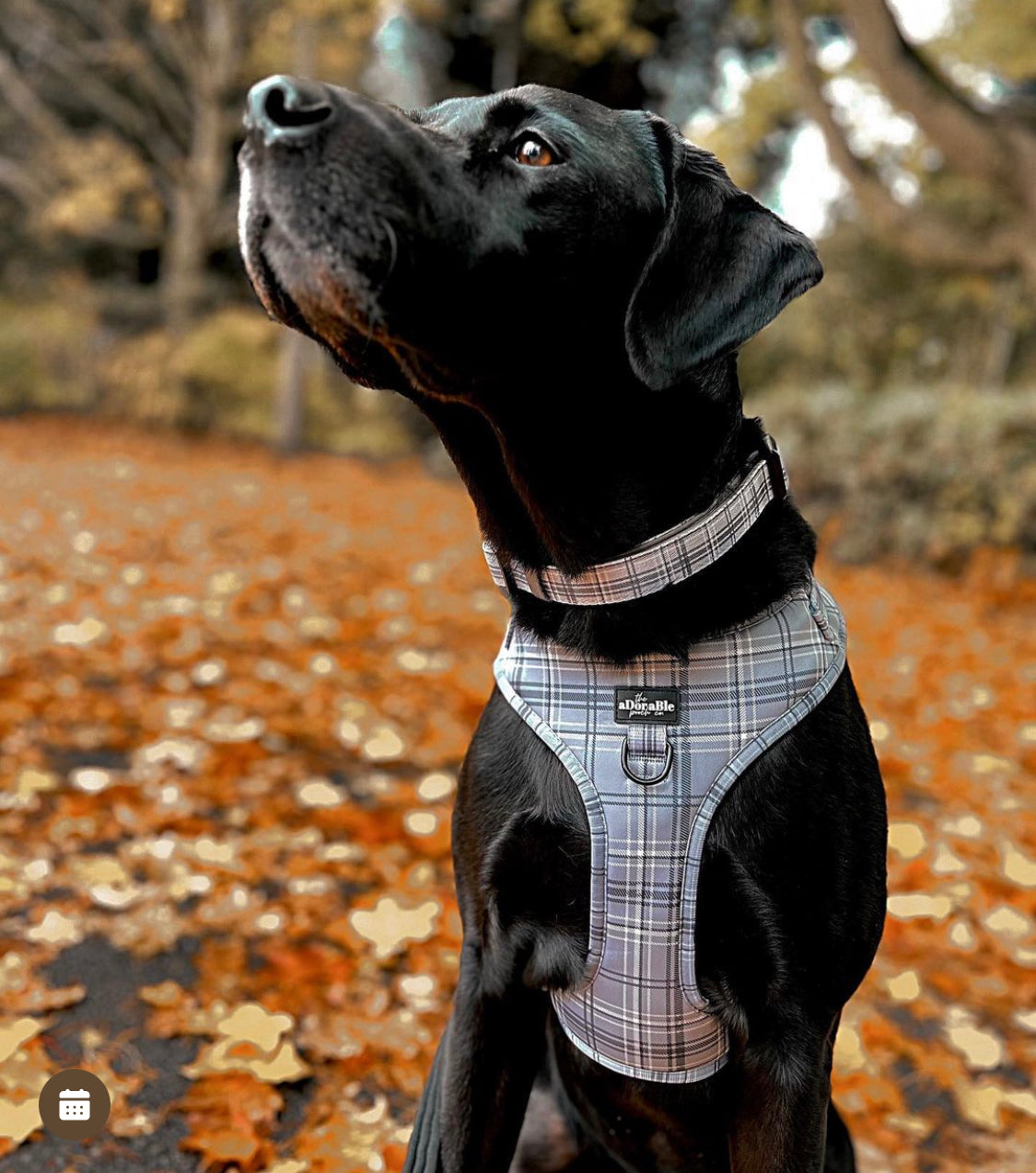 Adjustable Harness - LUXE Dove Grey Plaid