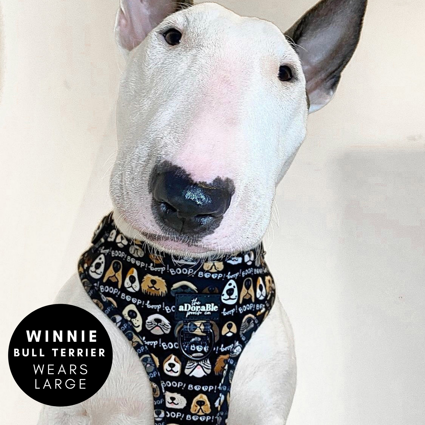 Adjustable Harness - The aDoraBle Pooch Co x Boop My Nose - Boop! - Black