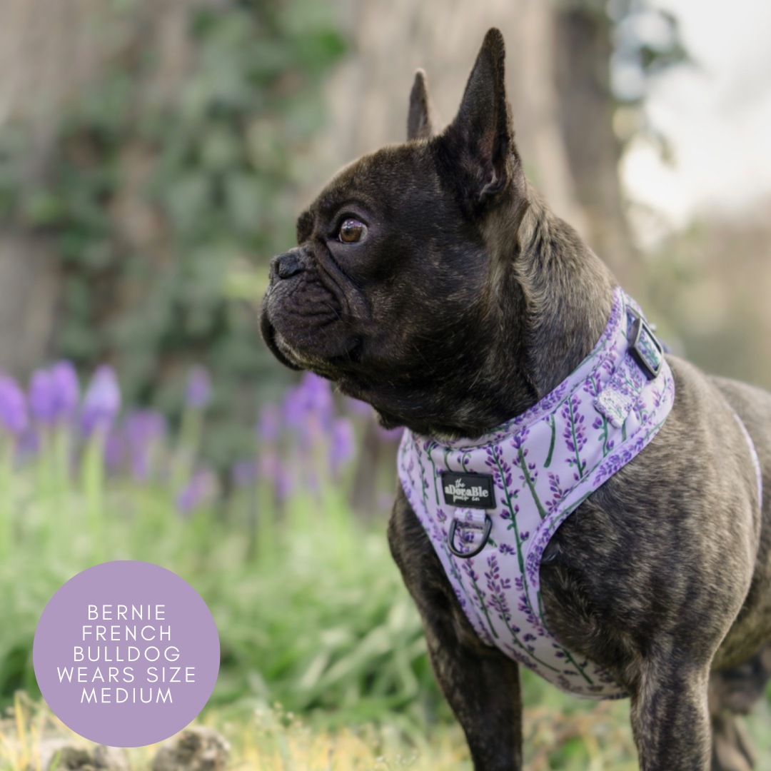 Adjustable Harness - Lavender Haze