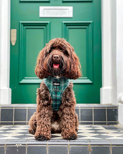 Adjustable Harness - LUXE Hunter Green Plaid