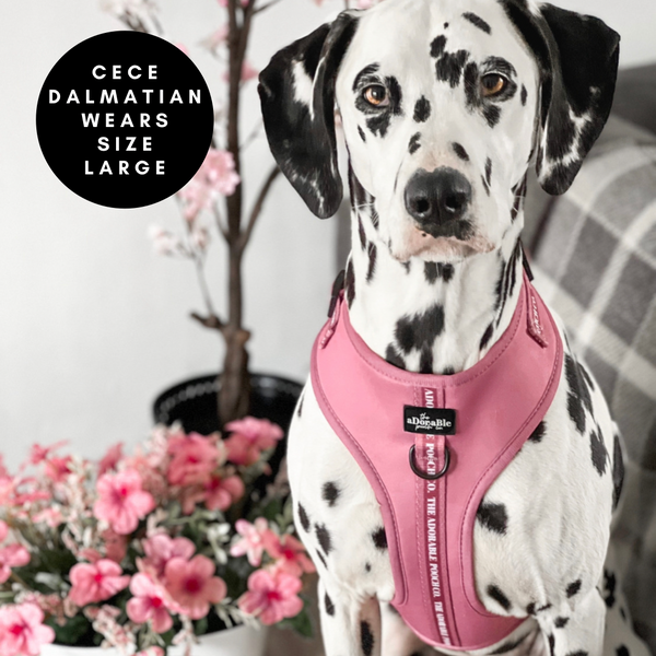 Adjustable Harness - Classic Collection - Dusty Rose