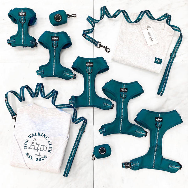 Adjustable Harness - Classic Collection - Deep Teal