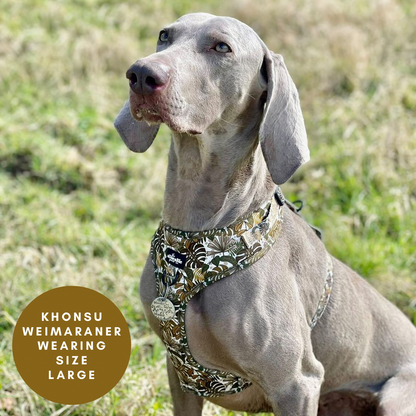 Adjustable Harness - In The Jungle - XS