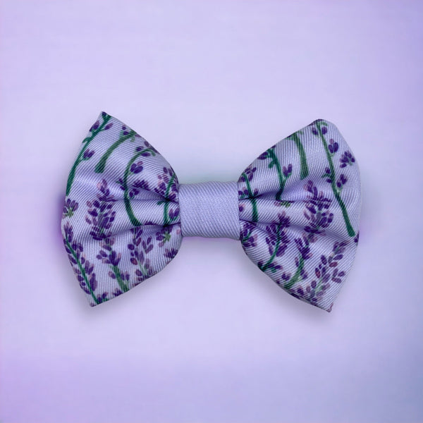 Bow Tie - Lavender Haze