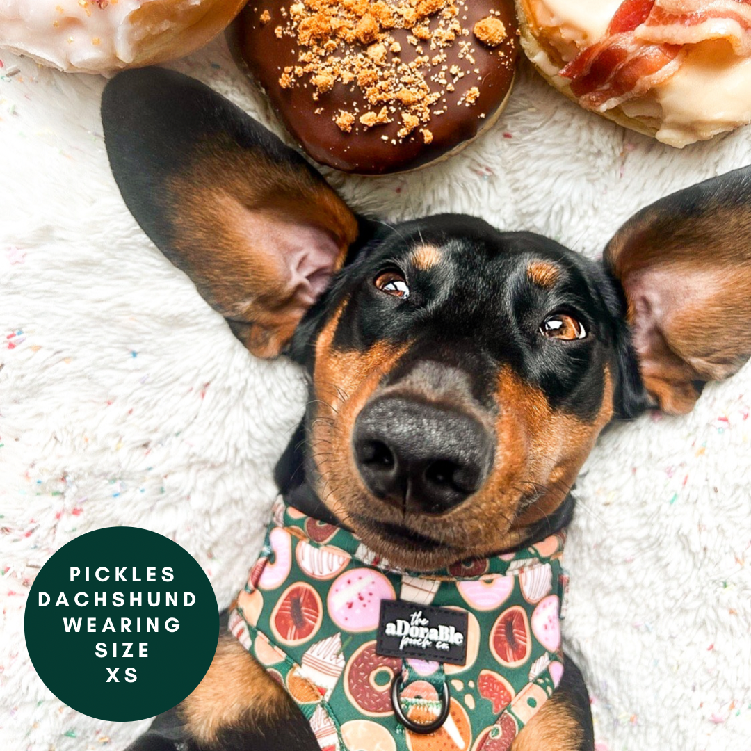 Adjustable Harness - Pups & Doughnuts