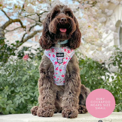 Adjustable Harness - Cherry Blossom