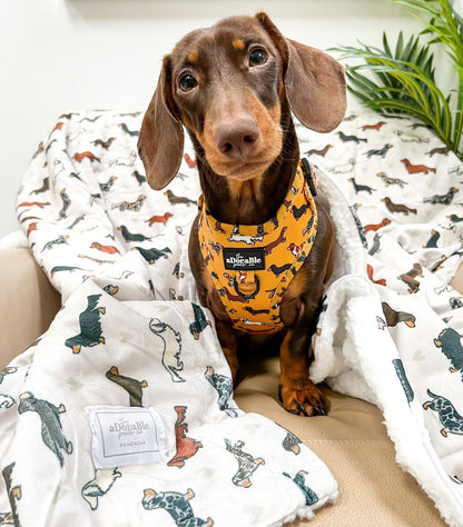 Adjustable Harness - Dashing Dachshunds