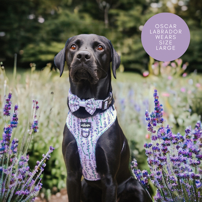 Adjustable Harness - Lavender Haze