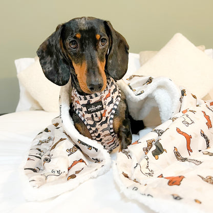 Supersize Soft Blanket - Hello Sausage