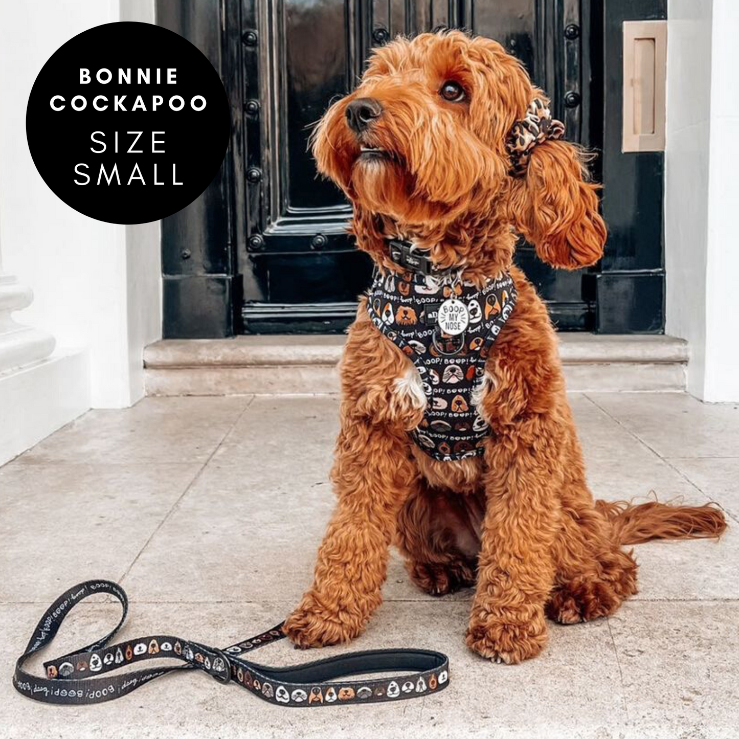 Adjustable Harness - The aDoraBle Pooch Co x Boop My Nose - Boop! - Black