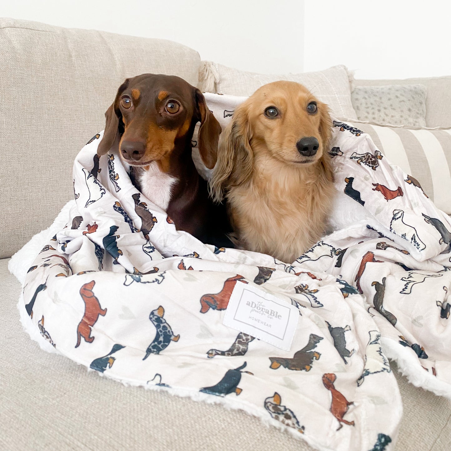 Supersize Soft Blanket - Hello Sausage