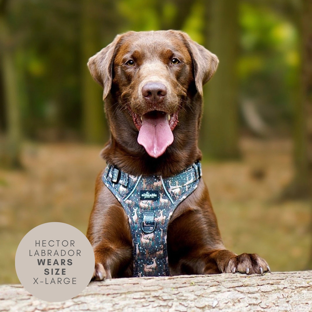 Hike & Go™ Harness - Nature Trails