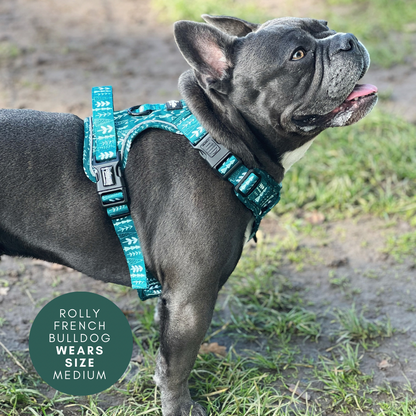 Hike & Go™ Harness - Woodland Walks