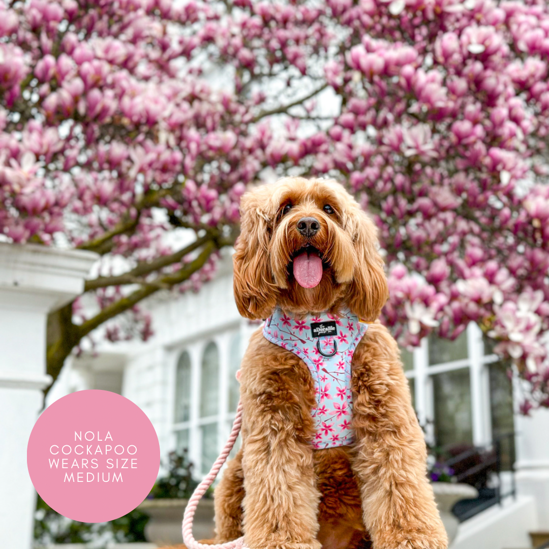 Adjustable Harness - Cherry Blossom