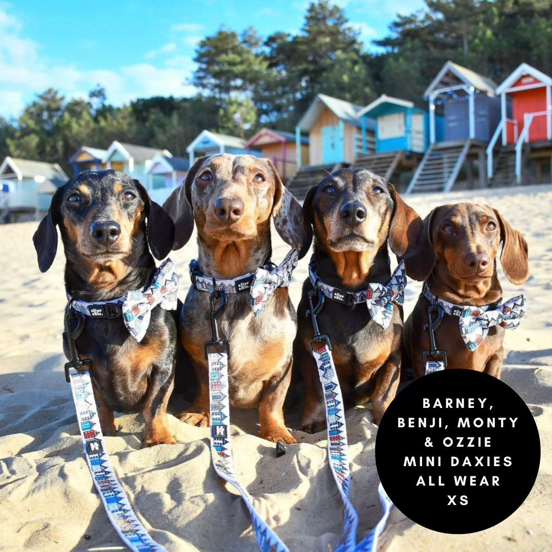 Collar - British Beach Huts