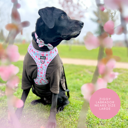 Adjustable Harness - Cherry Blossom